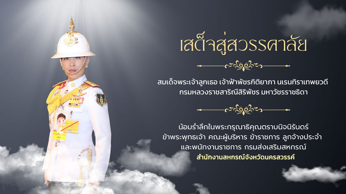 Princess 11June