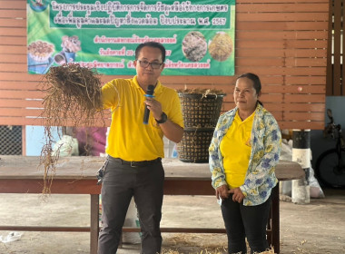 โครงการประชุมเชิงปฏิบัติการการจัดการวัสดุเหลือใช้ทางการเกษตรเพื่อเพิ่มมูลค่าและลดปัญหาสิ่งแวดล้อม ... พารามิเตอร์รูปภาพ 8