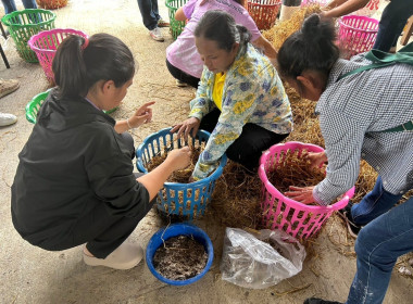 โครงการประชุมเชิงปฏิบัติการการจัดการวัสดุเหลือใช้ทางการเกษตรเพื่อเพิ่มมูลค่าและลดปัญหาสิ่งแวดล้อม ... พารามิเตอร์รูปภาพ 10