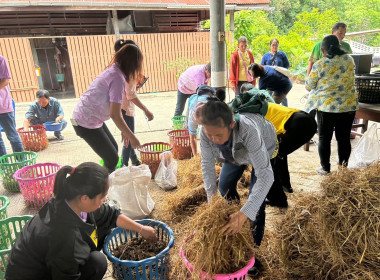 โครงการประชุมเชิงปฏิบัติการการจัดการวัสดุเหลือใช้ทางการเกษตรเพื่อเพิ่มมูลค่าและลดปัญหาสิ่งแวดล้อม ... พารามิเตอร์รูปภาพ 11