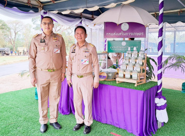 สมเด็จพระกนิษฐาธิราชเจ้า กรมสมเด็จพระเทพรัตนราชสุดา ฯ ... พารามิเตอร์รูปภาพ 3