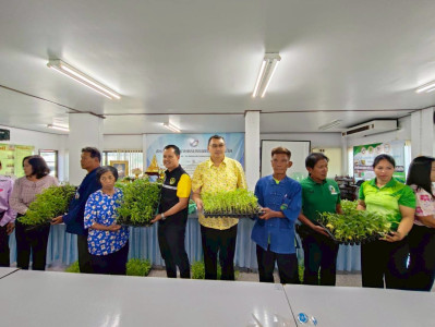 กิจกรรมและส่งมอบเมล็ดพันธุ์/กล้าพันธุ์ผักสวนครัว พารามิเตอร์รูปภาพ 1