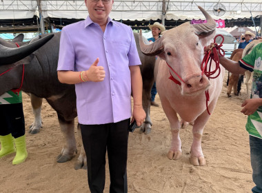 เข้าร่วมพิธีเปิด “งานมหกรรมประกวดสัตว์ปากน้ำโพ ประจำปี พ.ศ. ... พารามิเตอร์รูปภาพ 10