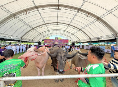 เข้าร่วมพิธีเปิด “งานมหกรรมประกวดสัตว์ปากน้ำโพ ประจำปี พ.ศ. ... พารามิเตอร์รูปภาพ 16
