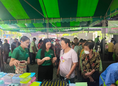 โครงการหน่วยบำบัดทุกข์ บำรุงสุข ... พารามิเตอร์รูปภาพ 10