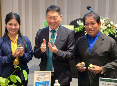 โครงการประชุมเชิงปฏิบัติการ ... พารามิเตอร์รูปภาพ 3