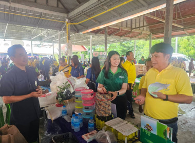 โครงการ ... พารามิเตอร์รูปภาพ 8