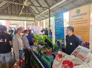 โครงการ ... พารามิเตอร์รูปภาพ 9