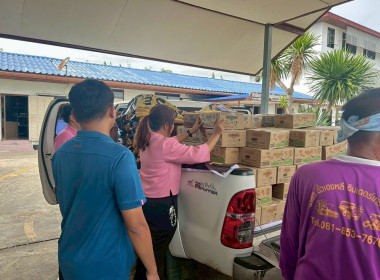 กระจายนมพร้อมดื่ม UHT ตราหนองโพ ของสหกรณ์การเกษตรตากฟ้า ... พารามิเตอร์รูปภาพ 6