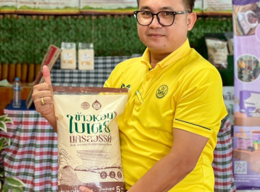 เชื่อมโยงการตลาดผลิตภัณฑ์ข้าวหอมใบเตยนครสวรรค์ (สินค้า GI) พารามิเตอร์รูปภาพ 7