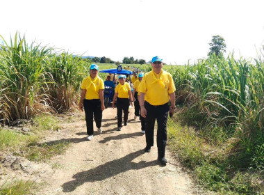 กิจกรรมโครงการปลูกและบำรุงรักษาต้นไม้ ... พารามิเตอร์รูปภาพ 6