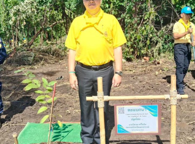 กิจกรรมโครงการปลูกและบำรุงรักษาต้นไม้ ... พารามิเตอร์รูปภาพ 11