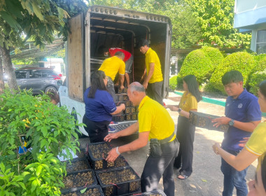 ร่วมใจ กระจายลำไย เพื่อช่วยเหลือเกษตรภาคเหนือ พารามิเตอร์รูปภาพ 6