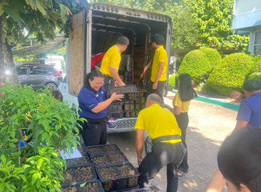 ร่วมใจ กระจายลำไย เพื่อช่วยเหลือเกษตรภาคเหนือ พารามิเตอร์รูปภาพ 11