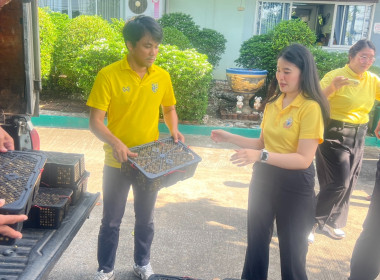 ร่วมใจ กระจายลำไย เพื่อช่วยเหลือเกษตรภาคเหนือ พารามิเตอร์รูปภาพ 1