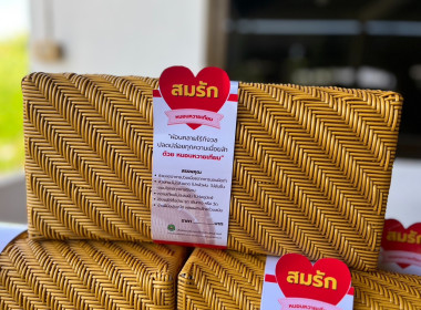 ลงพื้นที่เพื่อตรวจเยี่ยม แนะนำส่ง ... พารามิเตอร์รูปภาพ 4