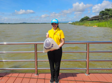 กิจกรรมจิตอาสาพัฒนาและปล่อยพันธุ์สัตว์น้ำ ... พารามิเตอร์รูปภาพ 7