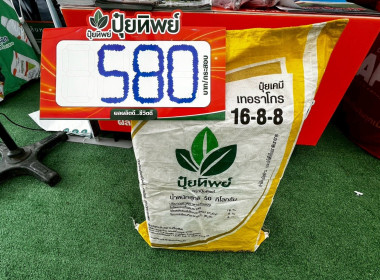 เข้าร่วมงานธงเขียวราคาประหยัด “ปุ๋ยถูก ยาดี ต้องที่ธงเขียว” พารามิเตอร์รูปภาพ 19