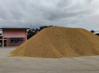 ตรวจเยี่ยมการรวบรวมข้าว ... พารามิเตอร์รูปภาพ 2