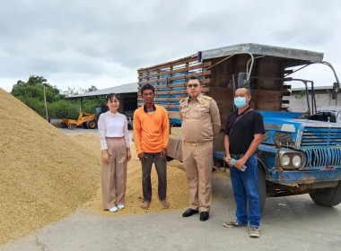 ตรวจเยี่ยมการรวบรวมข้าว ... พารามิเตอร์รูปภาพ 7