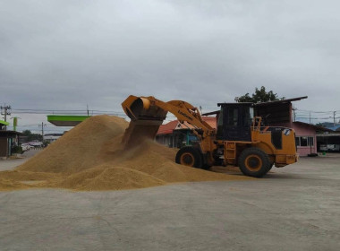 ตรวจเยี่ยมการรวบรวมข้าว ... พารามิเตอร์รูปภาพ 8