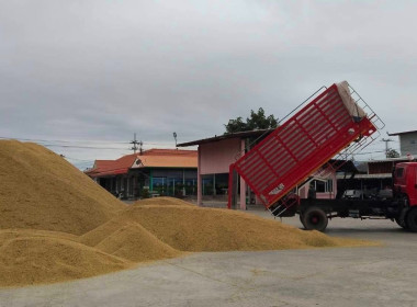 ตรวจเยี่ยมการรวบรวมข้าว ... พารามิเตอร์รูปภาพ 9