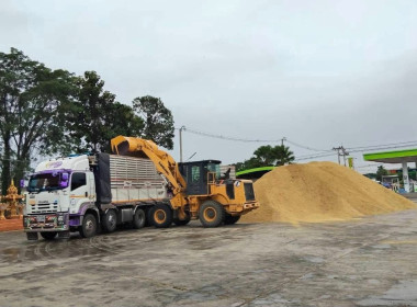 ตรวจเยี่ยมการรวบรวมข้าว ... พารามิเตอร์รูปภาพ 10