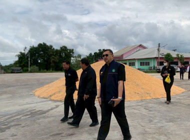 ลงพื้นที่ตรวจสอบปริมาณข้าวเปลือกภายใต้โครงการสินเชื่อชะลอการขายข้าวเปลือกนาปี ปีการผลิต 2567 / 68 ... พารามิเตอร์รูปภาพ 14