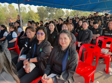 ต้อนรับรองนายกรัฐมนตรี ... พารามิเตอร์รูปภาพ 5