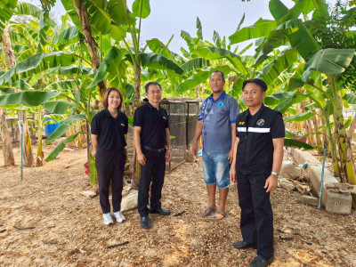 🥬🍌ประสานงานและติดตามผล ... พารามิเตอร์รูปภาพ 1