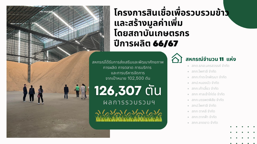 โครงการสินเชื่อเพื่อรวบรวมข้าวฯ 66/67